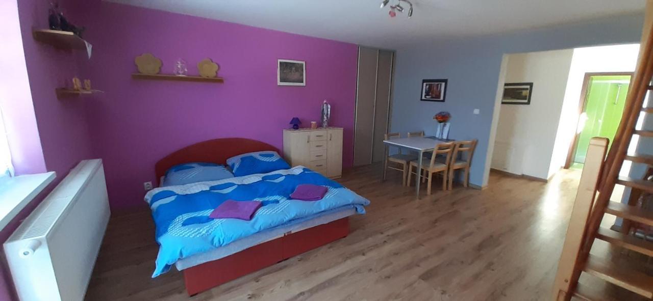 Privat Bene Apartment Vysne Ruzbachy Room photo