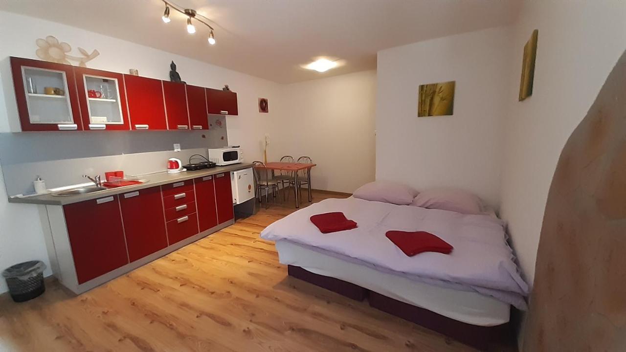 Privat Bene Apartment Vysne Ruzbachy Room photo