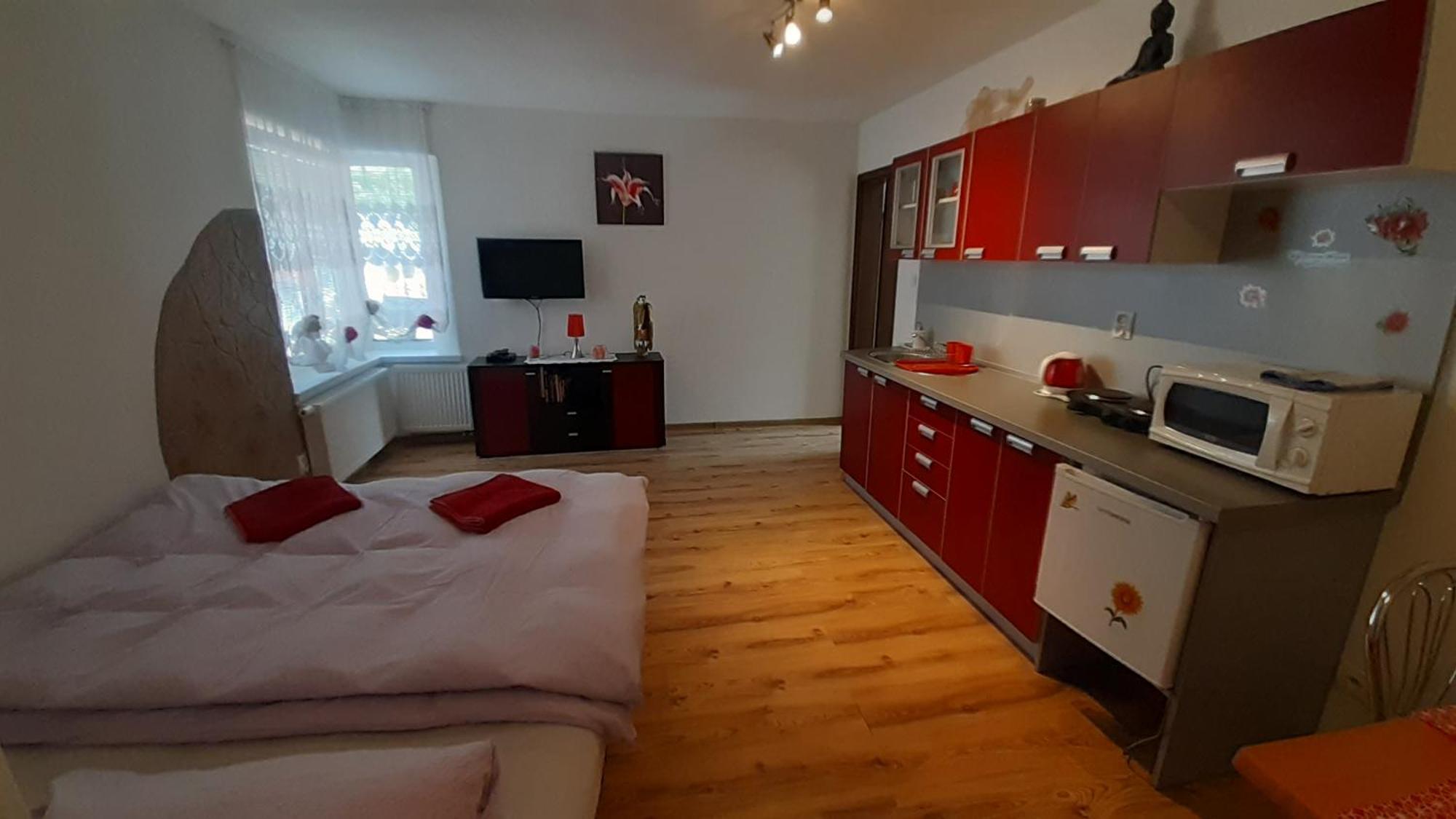 Privat Bene Apartment Vysne Ruzbachy Room photo